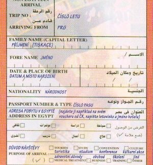 hurghada-airport-landing-card