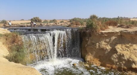 Visit Fayoum From Cairo | 123 Taxi & Tours Hurghada