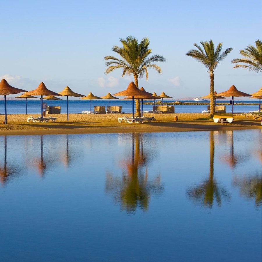 Things To Do In Makadi. Scuba Diving And Snorkelling. Play Golf In Makadi! Hurghada City Tour. Also Day Trips To Luxor And Cairo. Luxor to Makadi Transfer