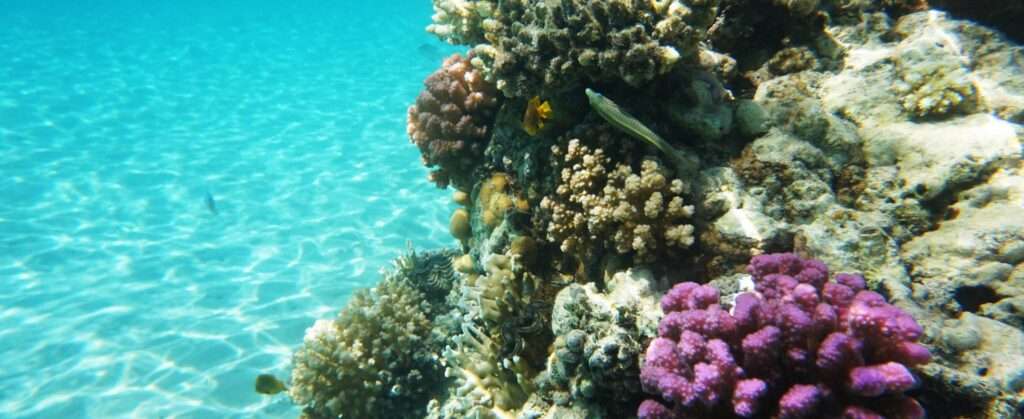 Conveniently located approximately 30 kilometres south of Hurghada airport, Makadi is super easy to get to. Transfer time from Hurghada airport is around 40 minutes.