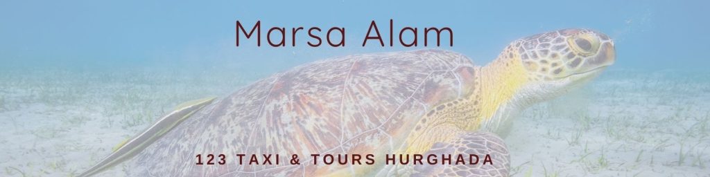 Start your Marsa Alam holiday the stress free way. Book your Hurghada airport transfer to Marsa Alam with 123 Taxi & Tours Hurghada. Plus, book your return transfer with 123 Taxi & Tours Hurghada too.